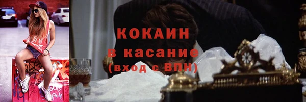 индика Алзамай