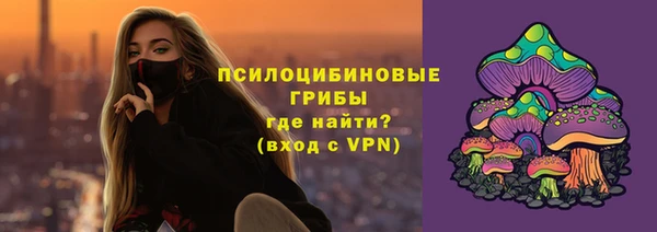 индика Алзамай