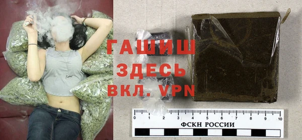 индика Алзамай