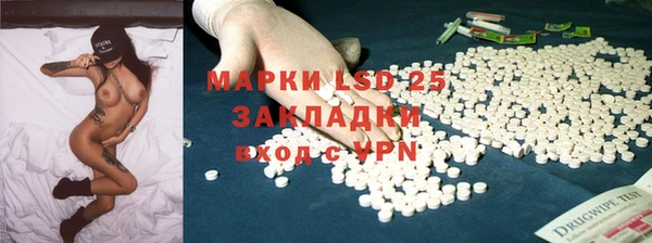 индика Алзамай