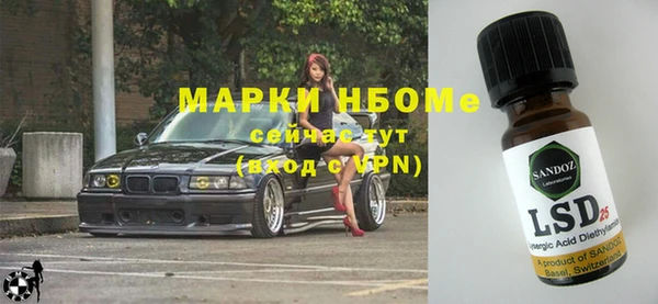 индика Алзамай