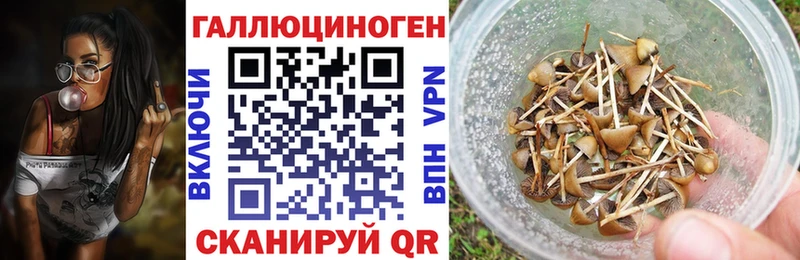 где продают наркотики Опочка Псилоцибиновые грибы мухоморы