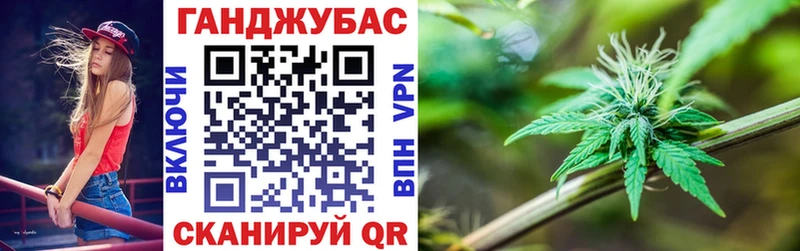 Бошки марихуана планчик  закладки  Опочка 